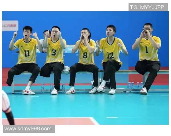 重庆排球队在全国排球团队协作排行榜中荣获第四名展现出强大实力与团队精神